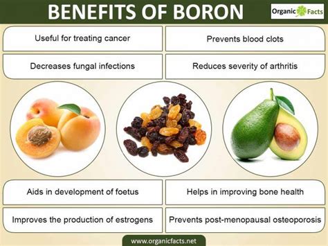 Boron Health Benefits and Uses .